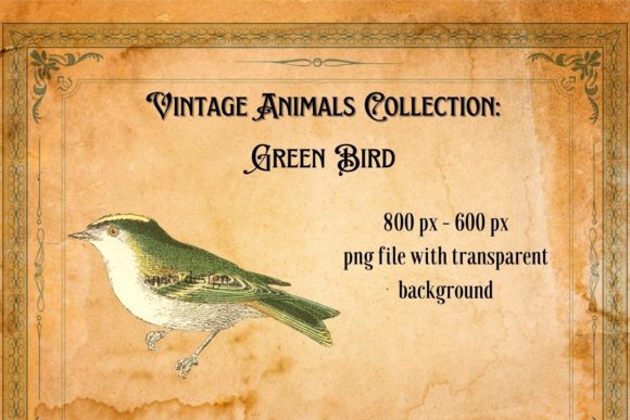 A Designer's Guide to the Vintage Green Bird Illustration