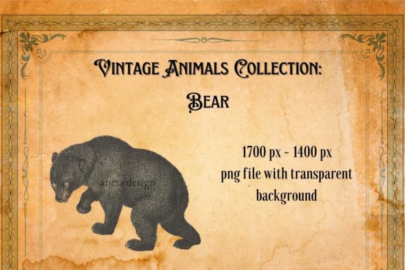 Charming Vintage Bear Illustration for Timeless Projects