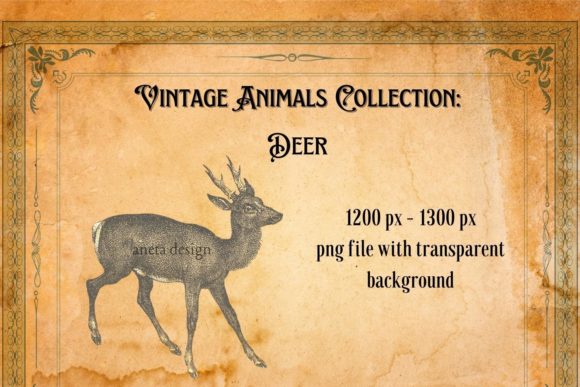 Rediscovering Charm: The Enduring Appeal of Vintage Deer Illustration